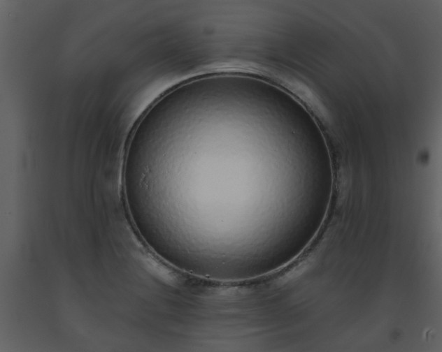 X0000093581228200710221457