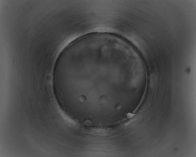 X0000093581229200710221457