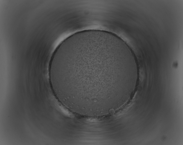 X0000093581230200710221457