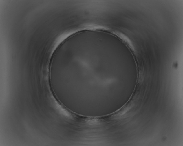 X0000093581231200710221457