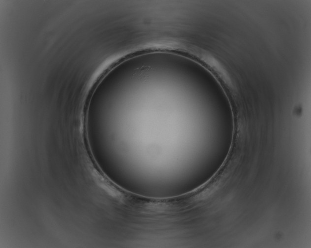 X0000093581232200710221457