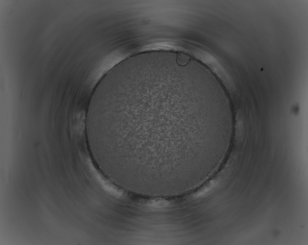 X0000093581233200710221457