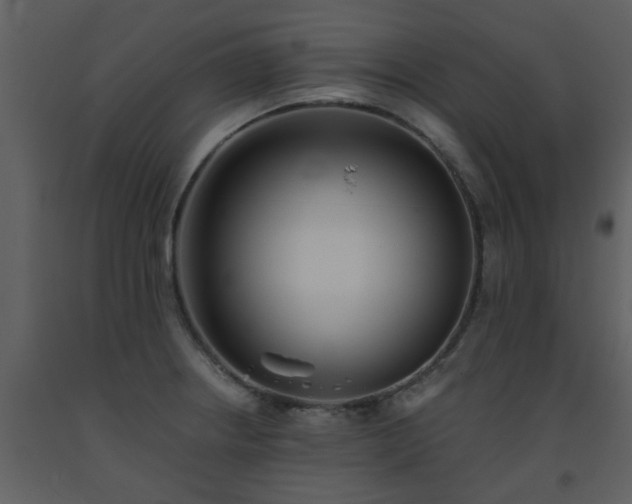 X0000093581234200710221457