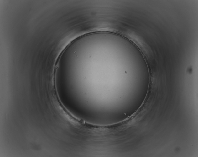 X0000093581236200710221457
