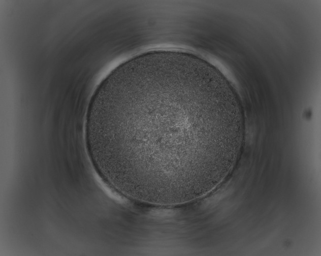 X0000093581237200710221457
