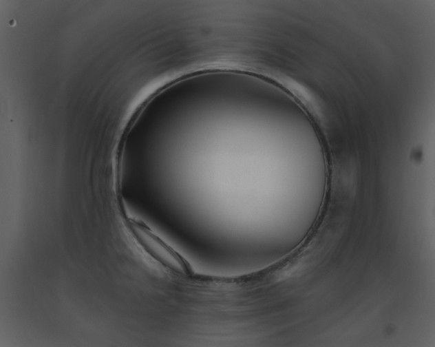 X0000093581238200710221457