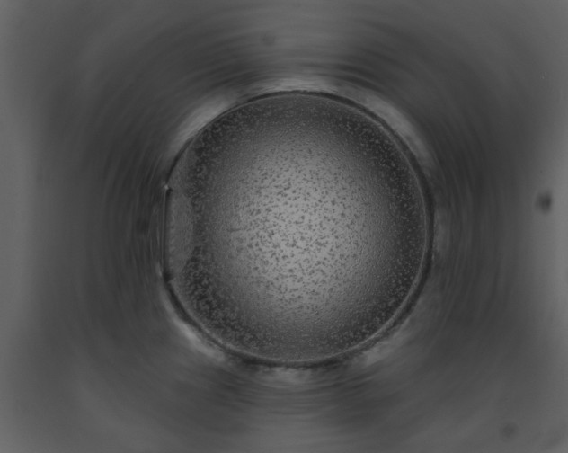 X0000093581241200710221457