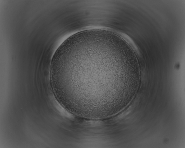 X0000093581244200710221457
