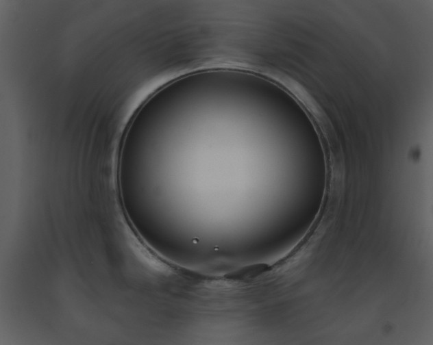 X0000093581246200710221457