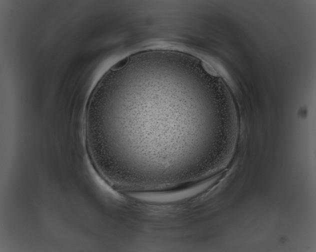X0000093581247200710221457
