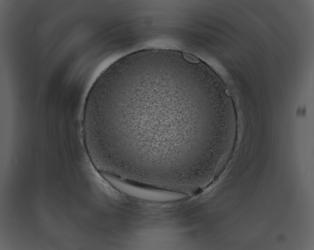 X0000093581248200710221457