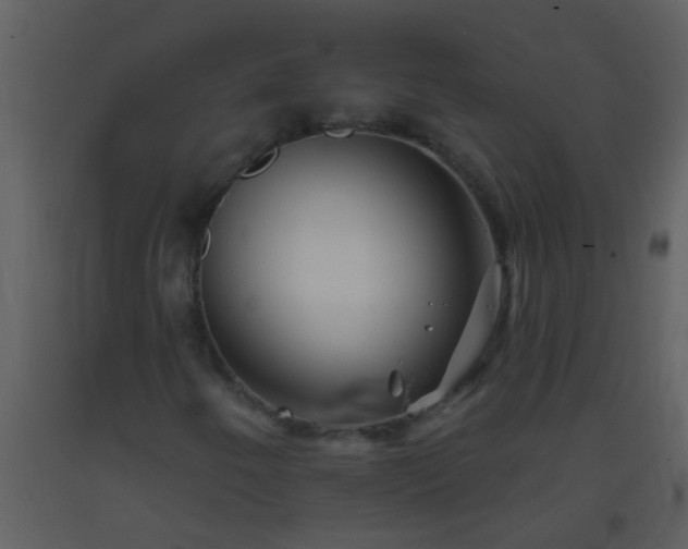 X0000093581250200710221456