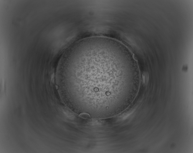 X0000093581251200710221456