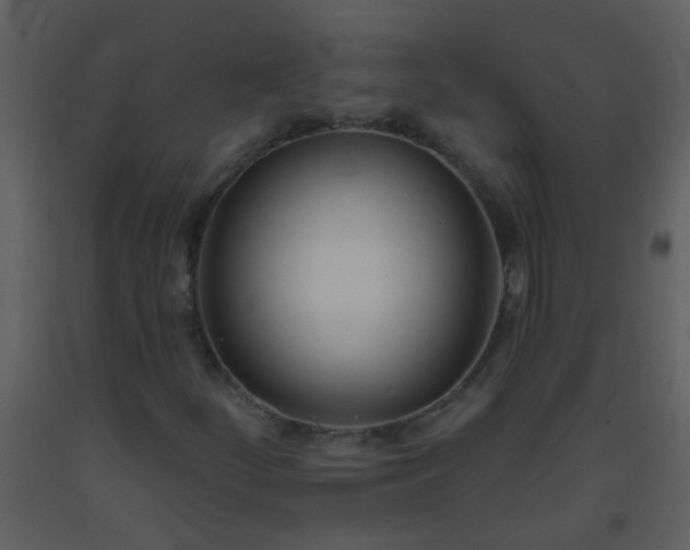X0000093581252200710221456