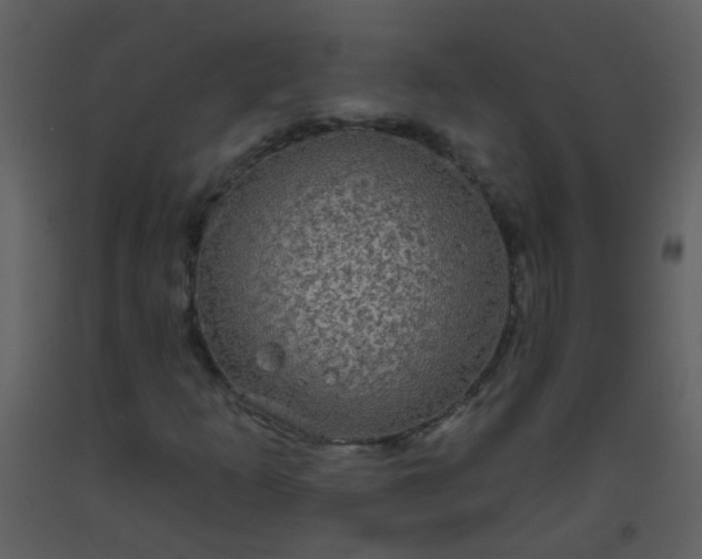 X0000093581253200710221456