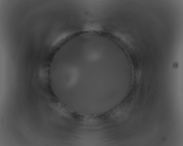 X0000093581254200710221456
