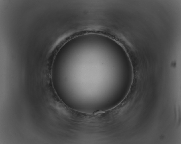 X0000093581256200710221456