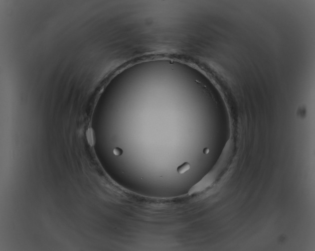 X0000093581257200710221456