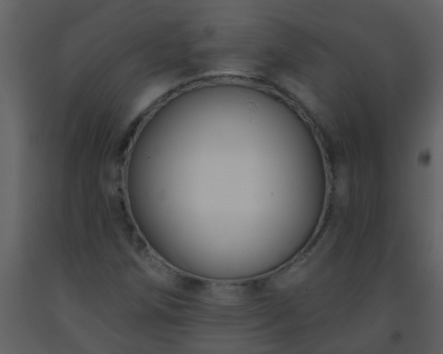 X0000093581258200710221456