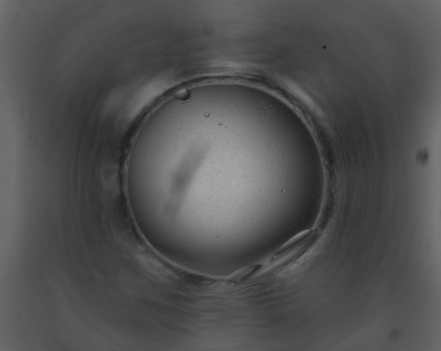 X0000093581259200710221456