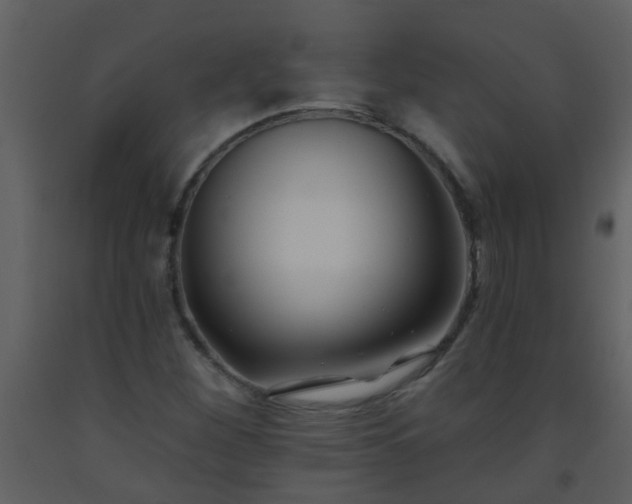X0000093581260200710221456