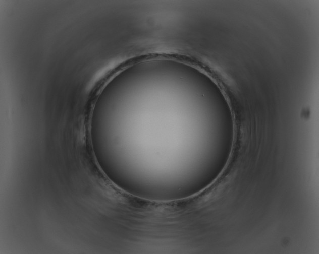 X0000093581262200710221456
