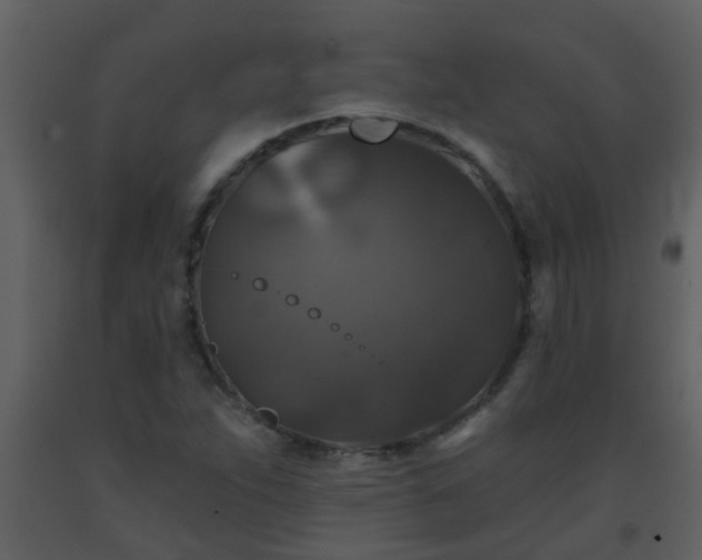 X0000093581263200710221456