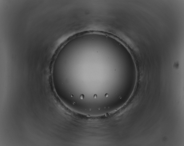 X0000093581264200710221456