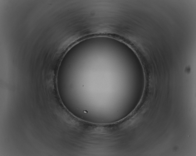 X0000093581265200710221456