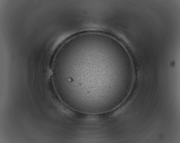 X0000093581267200710221456