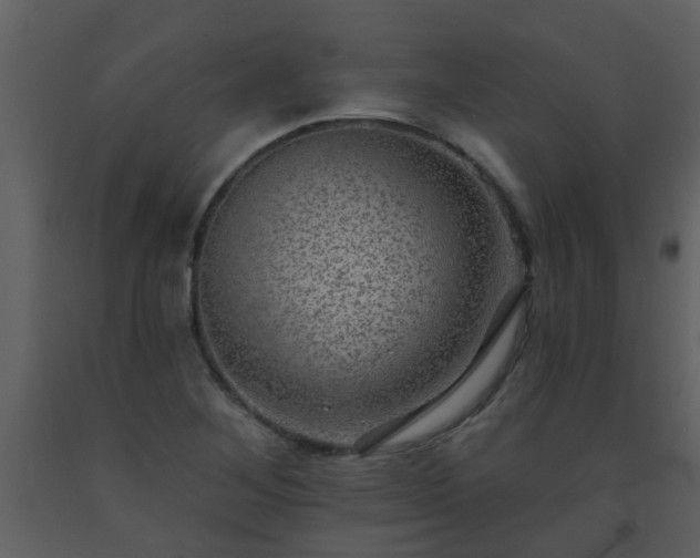 X0000093581268200710221456