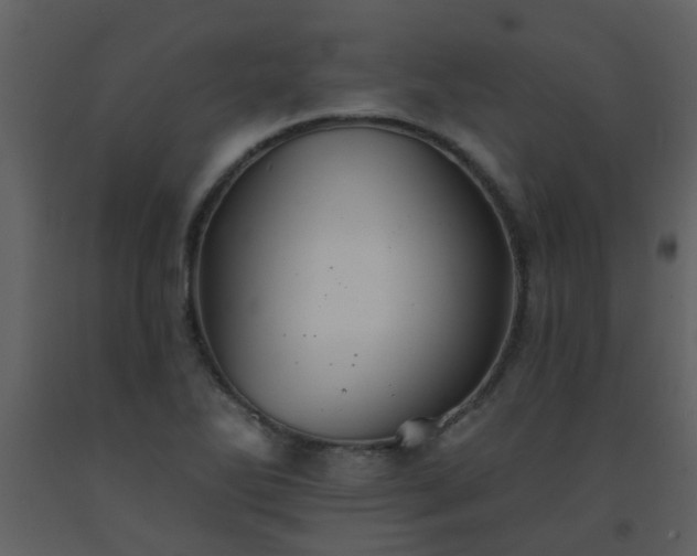 X0000093581270200710221456