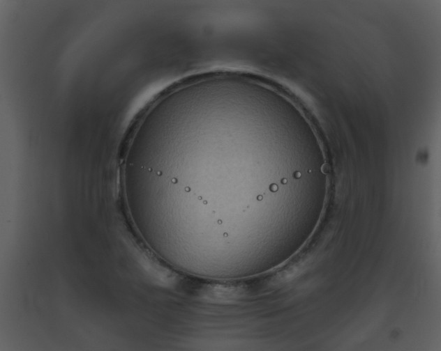 X0000093581271200710221456