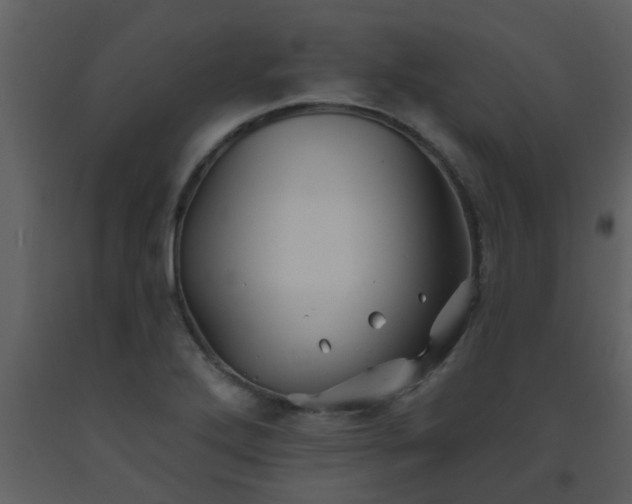 X0000093581272200710221456