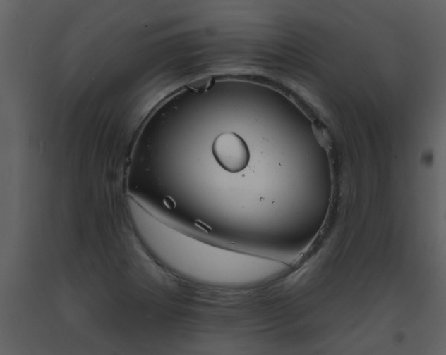 X0000093581273200710221456