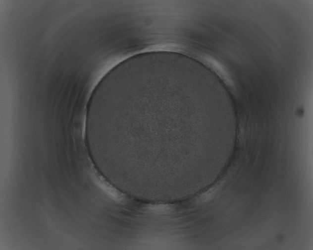 X0000093581276200710221456