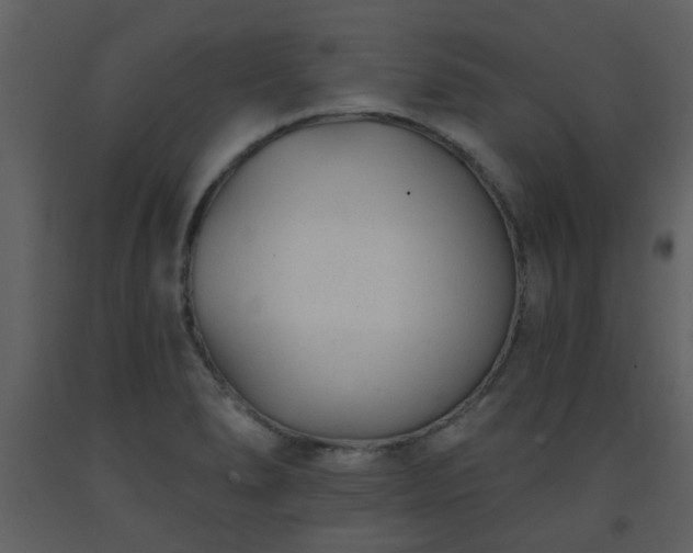 X0000093581278200710221456