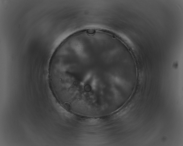 X0000093581279200710221456