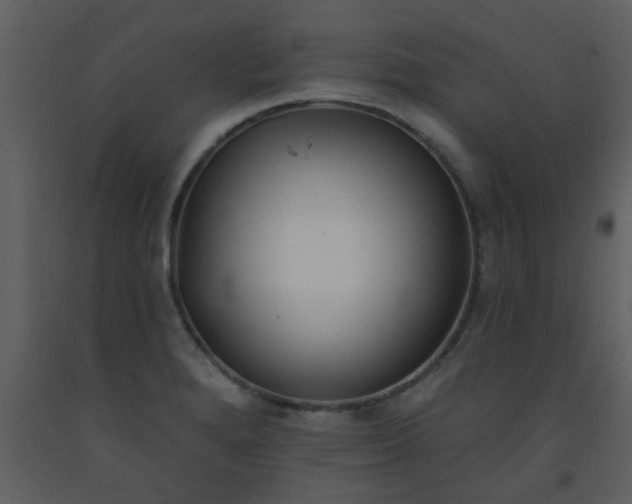 X0000093581280200710221456