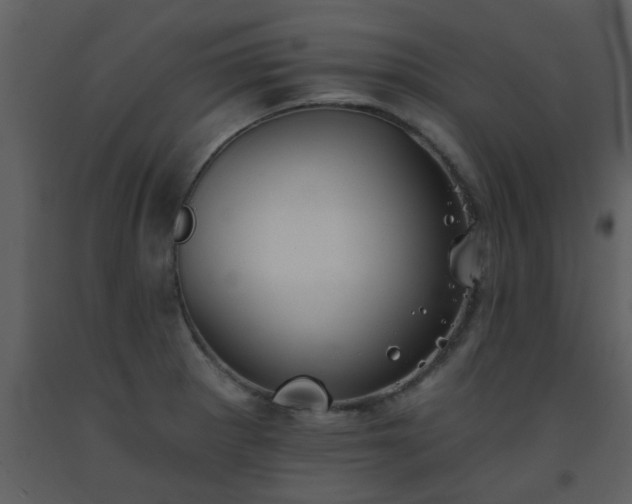 X0000093581281200710221456