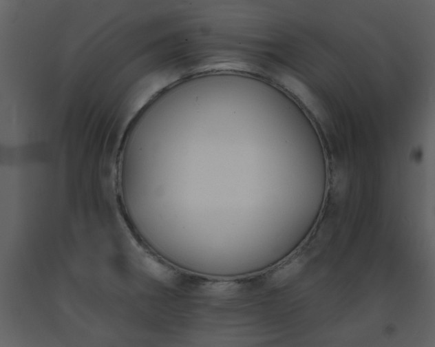 X0000093581282200710221456