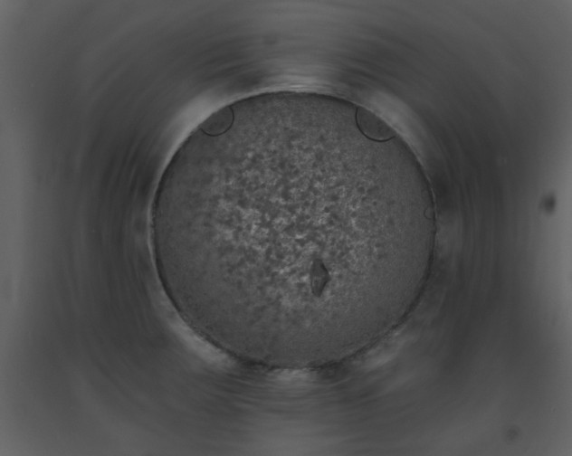 X0000093581283200710221456