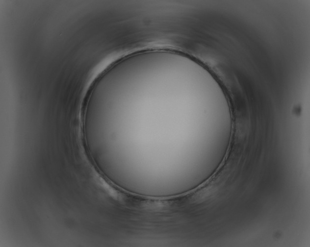 X0000093581286200710221456