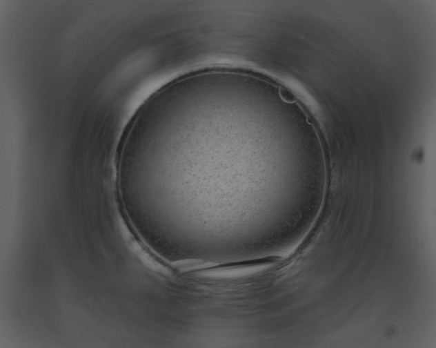 X0000093581287200710221456