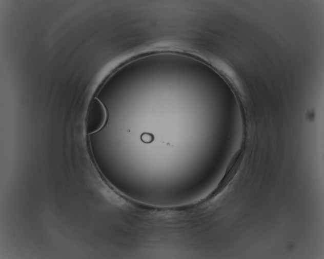 X0000093581288200710221456
