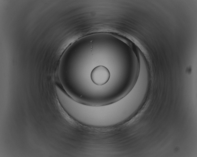 X0000093581289200710221456