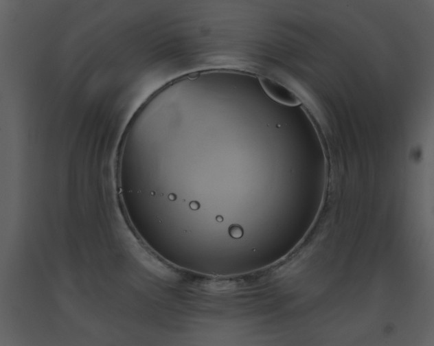 X0000093581291200710221456