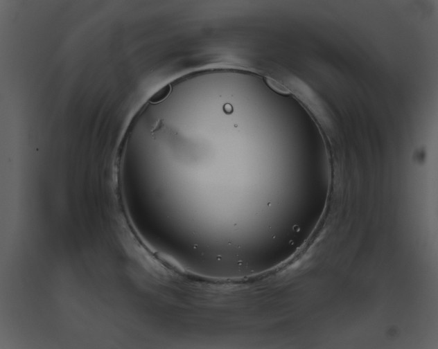 X0000093581292200710221456