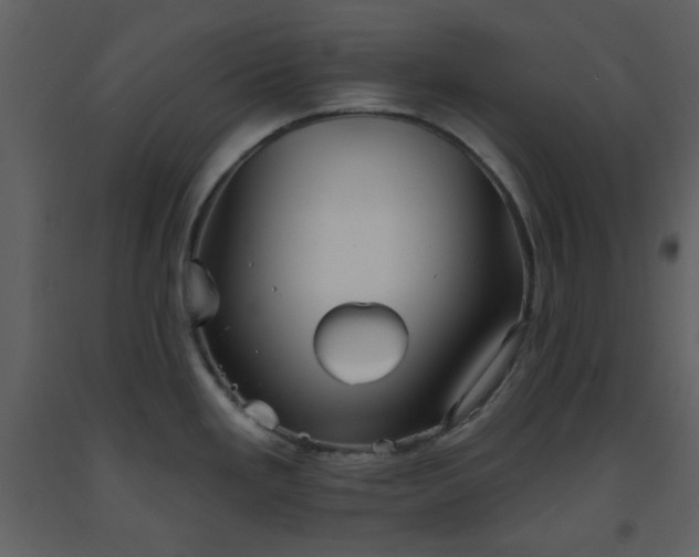 X0000093581293200710221456