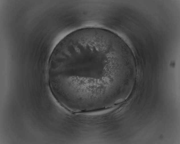 X0000093581295200710221456